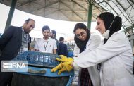 طرح تولید بتن سبز در دانشگاه امیرکبیر در انتظار حمایت